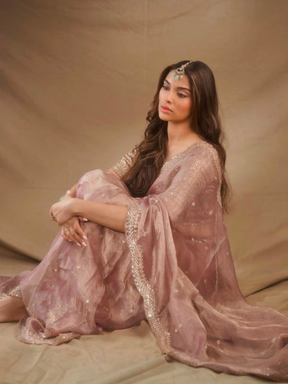 Designer Saree – Elegance Redefined ✨