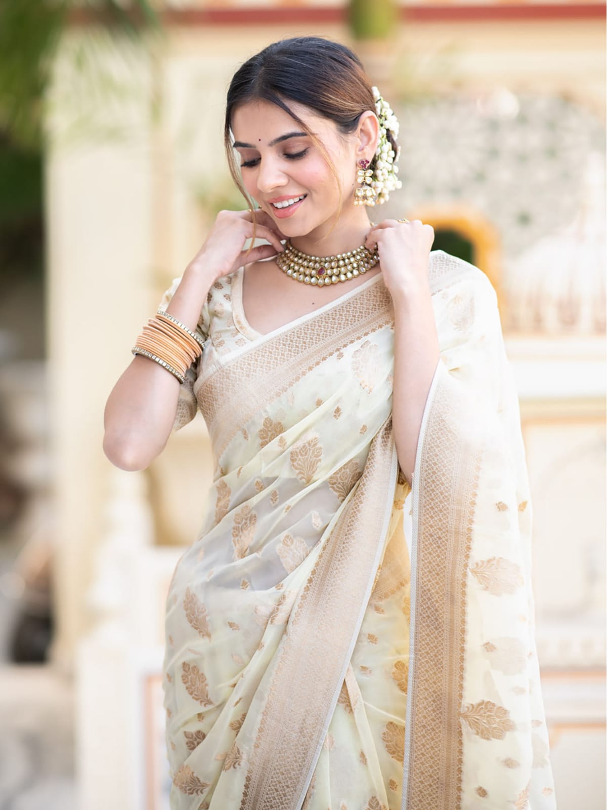 Premium Quality Banarasi Saree