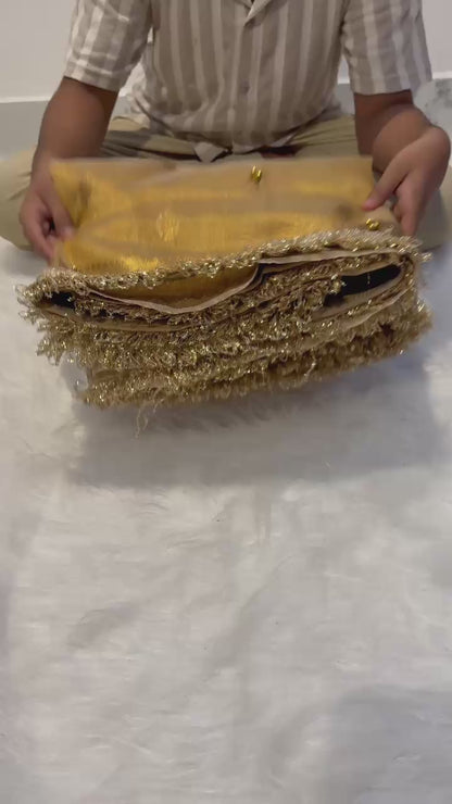 Premium Banarasi Tissue Saree